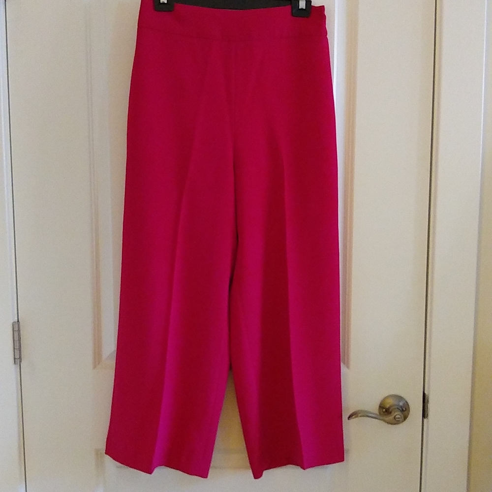 Zara pants.